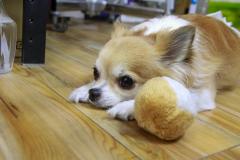IMG_5681_Original