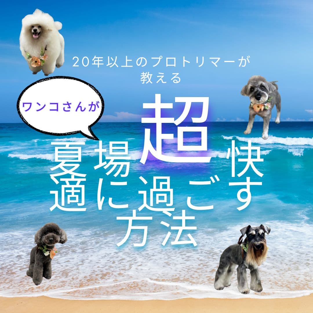 20年のプロトリマーがオススメする夏場犬が超快適に過ごす方法 – ドッグサロンFAMILIAR